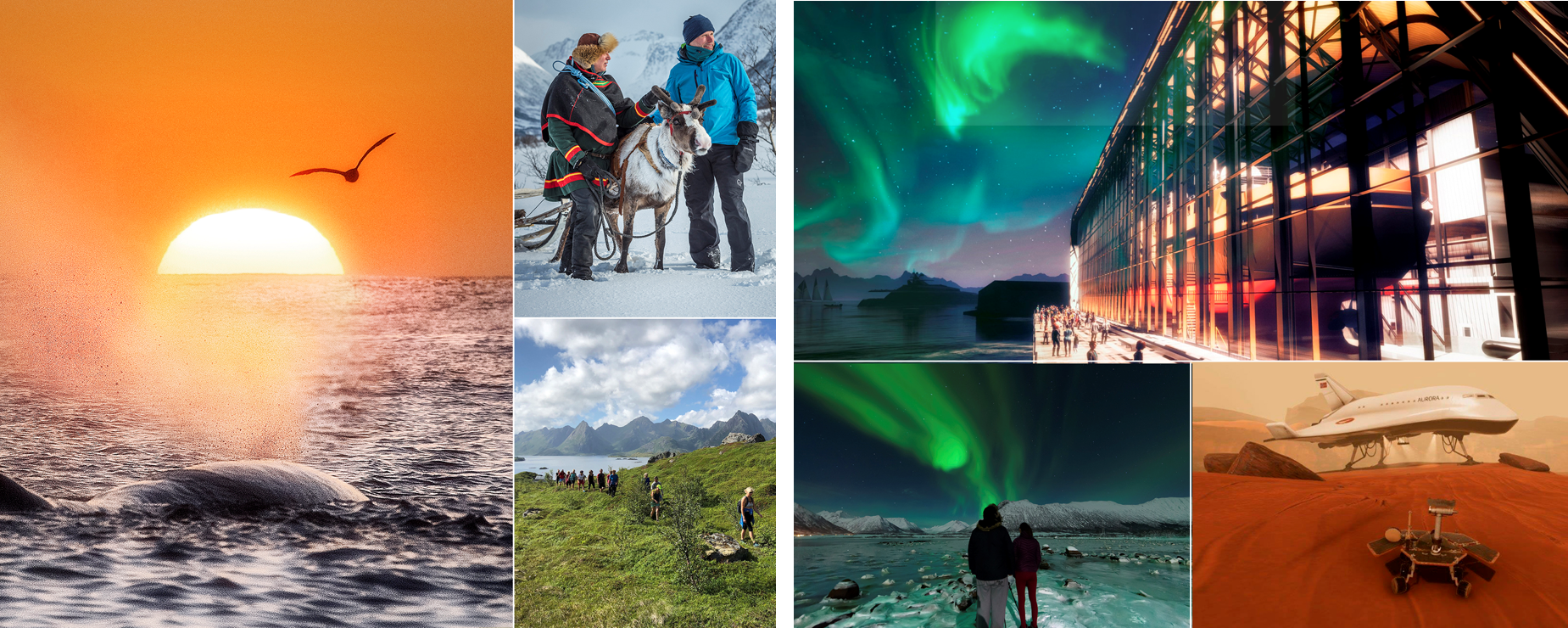 Opplevelser Vesterålen